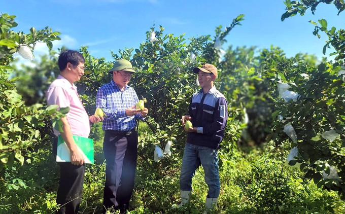 Ph&ograve;ng giao dịch Ng&acirc;n h&agrave;ng Ch&iacute;nh s&aacute;ch x&atilde; hội Bố Trạch triển khai 17 chương tr&igrave;nh t&iacute;n dụng ch&iacute;nh s&aacute;ch với số vốn hơn 1.000 tỷ đồng để ph&aacute;t triển kinh tế, x&acirc;y dựng nh&agrave; ở.