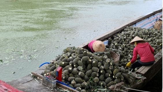 Hiệu quả của c&ocirc;ng t&aacute;c đ&agrave;o tạo nghề được minh chứng r&otilde; n&eacute;t qua sự chuyển biến tại c&aacute;c v&ugrave;ng n&ocirc;ng th&ocirc;n.