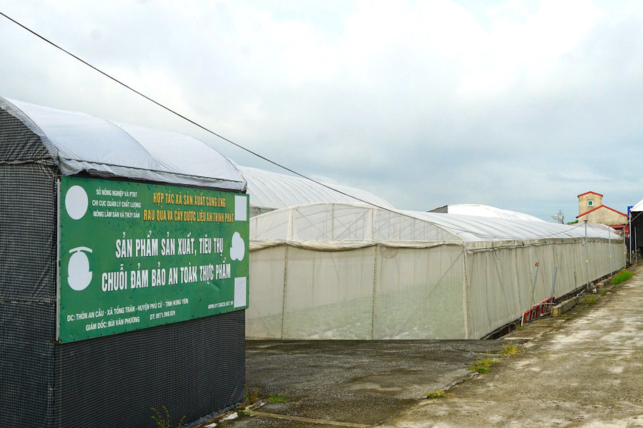 HTX sản xuất tạo n&ecirc;n chuỗi sản xuất v&agrave; ti&ecirc;u thụ an to&agrave;n cho sản phẩm.