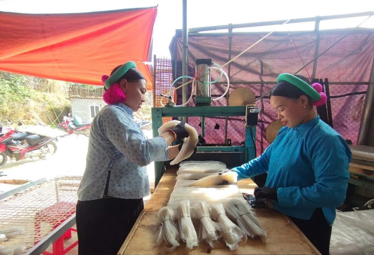 Sản phẩm OCOP ph&aacute;t triển mạnh gi&uacute;p n&acirc;ng cao chất lượng cuộc sống người d&acirc;n.