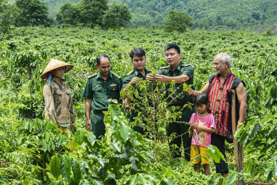 Từ việc hiểu về c&aacute;ch thức canh t&aacute;c v&agrave; chăm s&oacute;c c&acirc;y trồng, người d&acirc;n đ&atilde; n&acirc;ng cao chất lượng sản phẩm tạo ra nguồn thu ổn định.