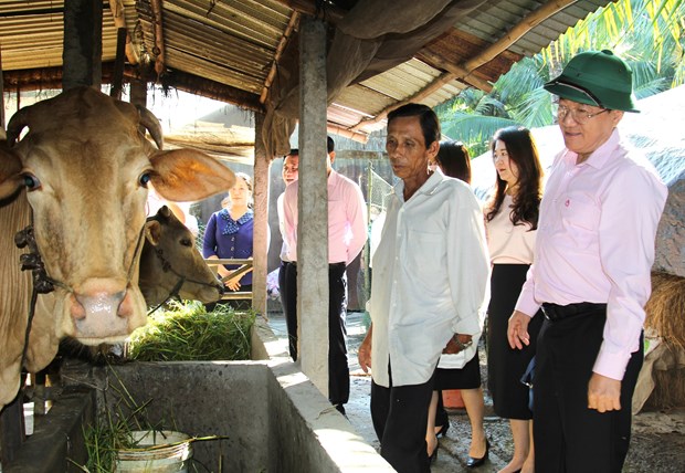 Nhiều m&ocirc; h&igrave;nh sinh kế đ&atilde; g&oacute;p phần n&acirc;ng cao cuộc sống của người d&acirc;n tại tỉnh Vĩnh Long.