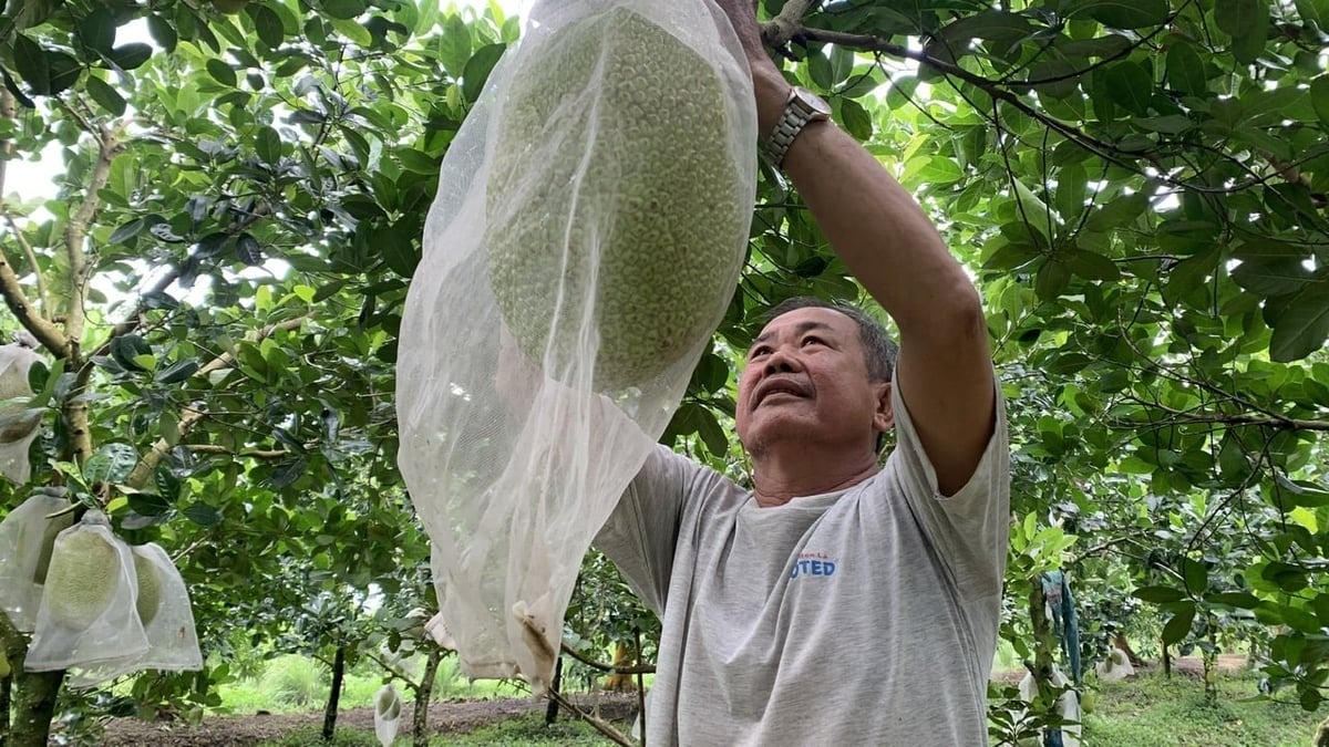 Tại tỉnh Vĩnh Long, nhiều chương tr&igrave;nh v&agrave; dự &aacute;n đ&atilde; được triển khai nhằm hỗ trợ hộ ngh&egrave;o.