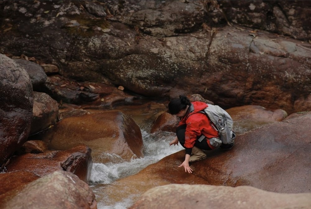 Thi thoảng sẽ bắt gặp v&agrave;i con suối, con th&aacute;c nhỏ với l&agrave;n nước trong veo m&aacute;t lạnh.