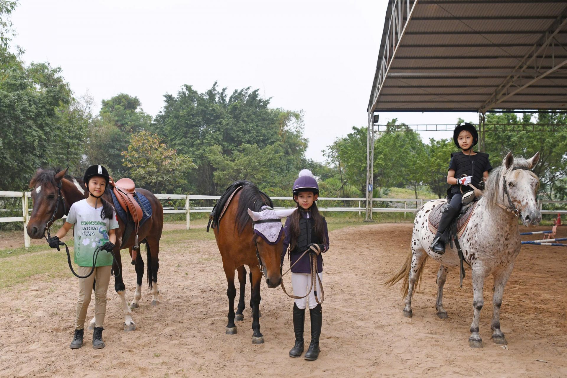 Top 5 ch&uacute; ngựa được &ldquo;cưng&rdquo; nhất nh&agrave; chung: Happy, Marteen, B&ocirc;ng, Frozen v&agrave; Big Boy.