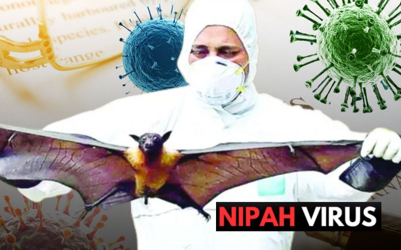 NiV đang l&acirc;y lan tại Ấn Độ v&agrave; bệnh chưa ghi nhận tại Việt Nam.