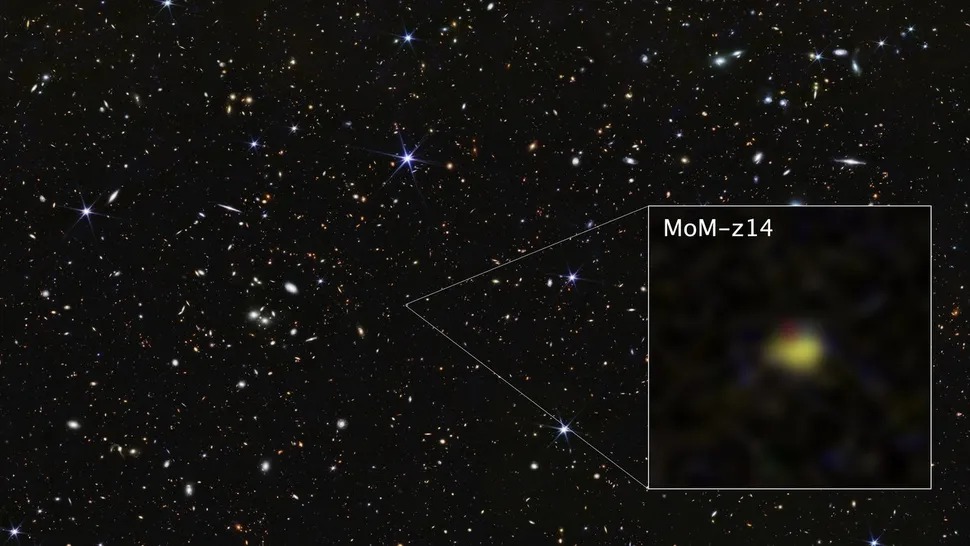 K&iacute;nh viễn vọng kh&ocirc;ng gian James Webb ph&aacute;t hiện MoM-z14, thi&ecirc;n h&agrave; cổ nhất v&agrave; xa nhất được x&aacute;c nhận đến nay.