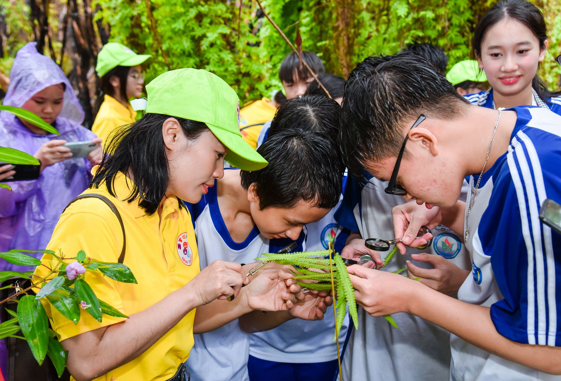 C&ocirc; Nguy&ecirc;n Kh&aacute;nh hướng dẫn c&aacute;c bạn học sinh sử dụng k&iacute;nh l&uacute;p t&igrave;m hiểu c&acirc;y dương xỉ.