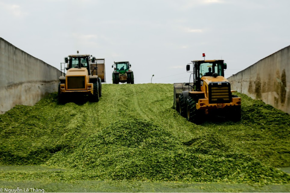 Trung t&acirc;m thức ăn cho b&ograve; sữa TH.