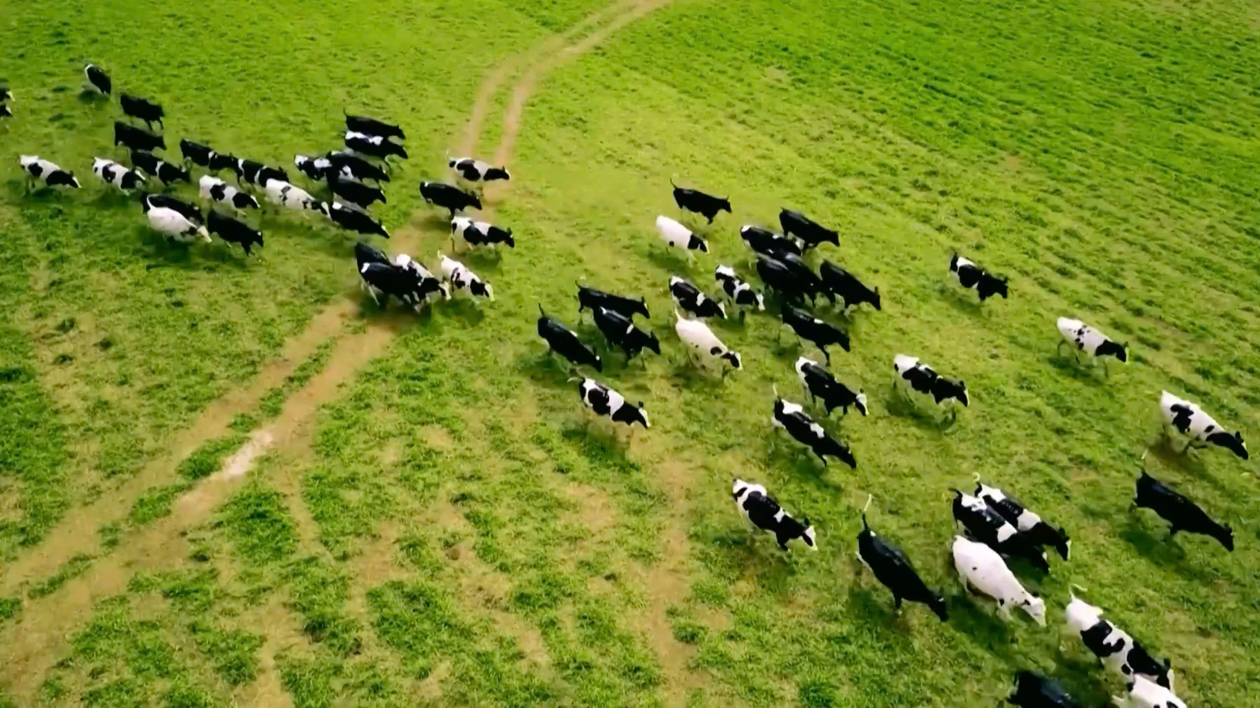 TH sở hữu Cụm trang trại tập trung c&ocirc;ng nghệ cao kh&eacute;p k&iacute;n đạt nhất thế giới (Li&ecirc;n minh Kỷ lục thế giới x&aacute;c nhận năm 2020).