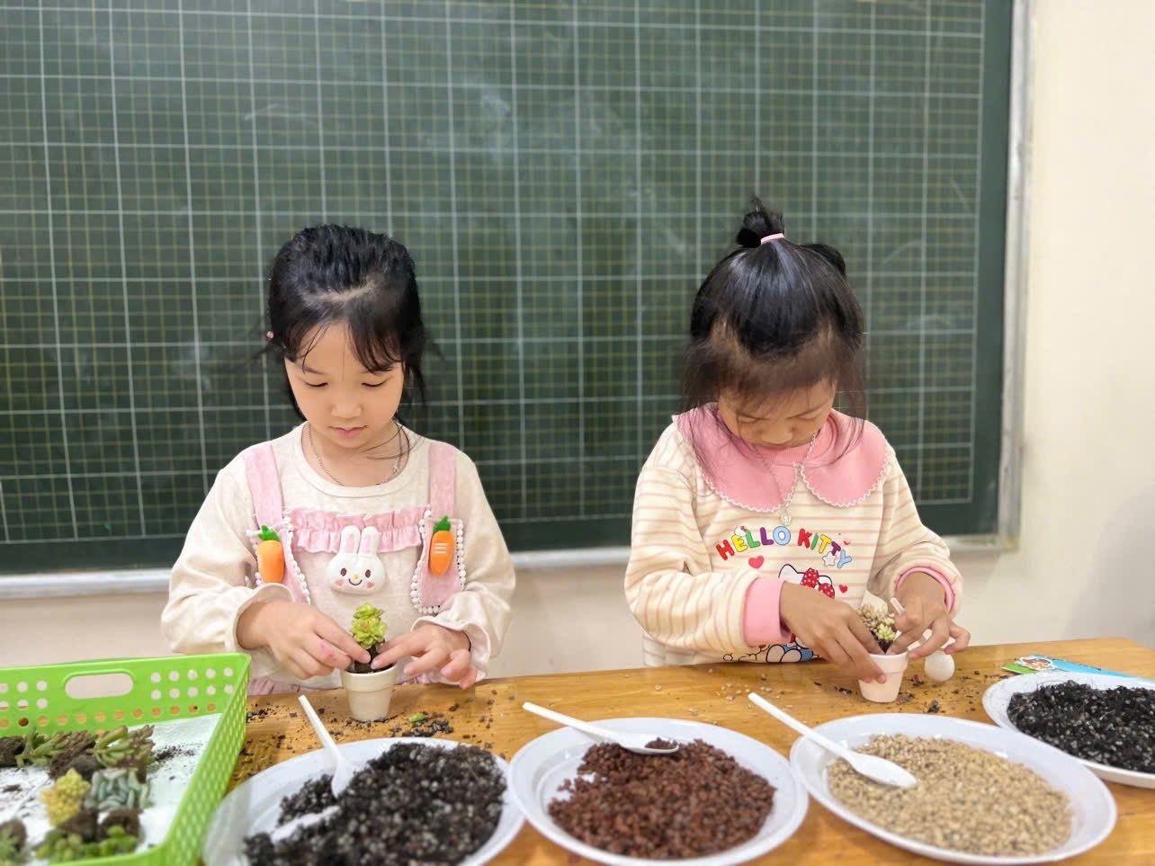 C&aacute;c em học sinh thực hiện những chậu hoa đ&aacute; 