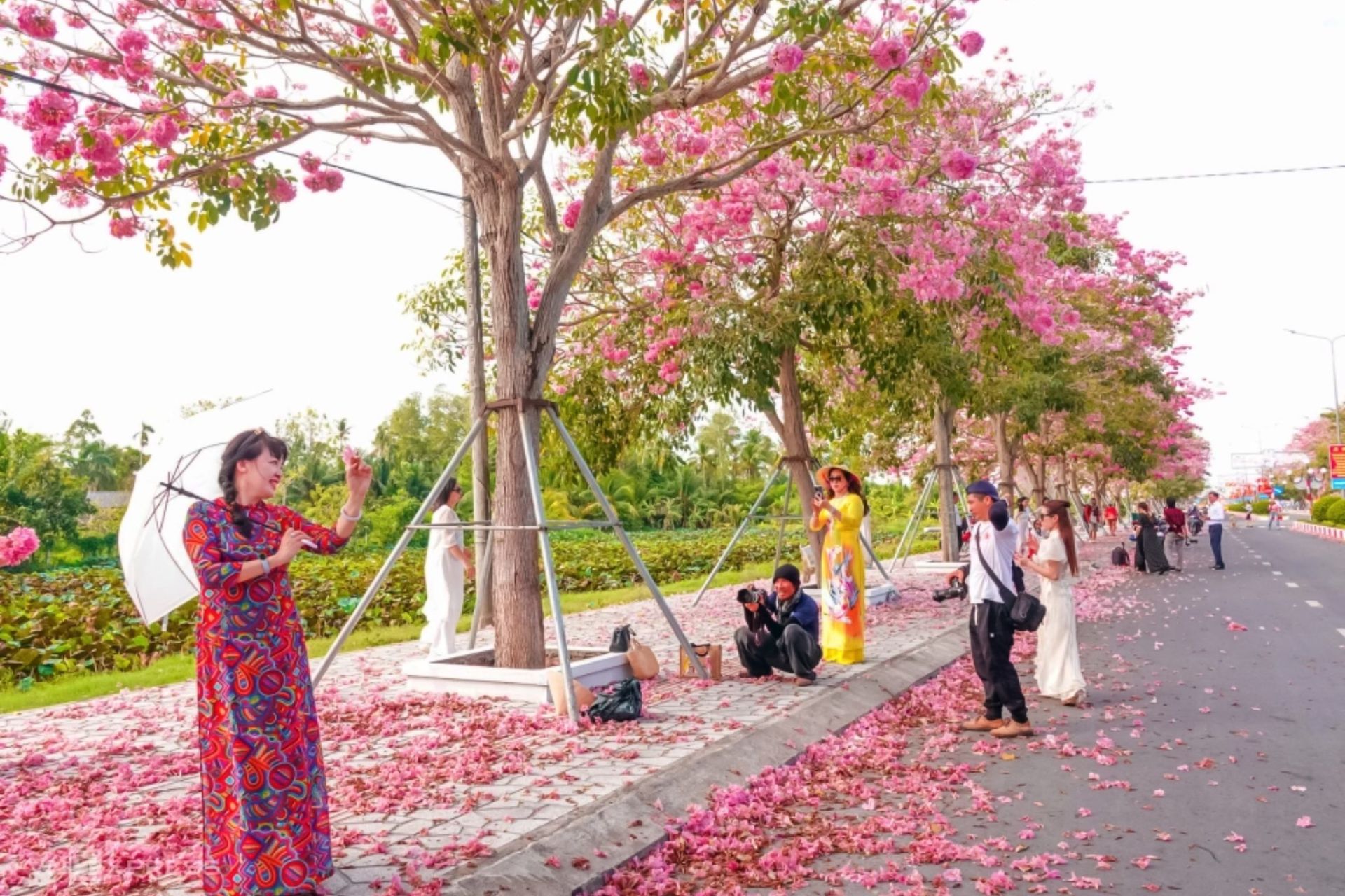 Người d&acirc;n th&iacute;ch th&uacute; check-in với h&agrave;ng k&egrave;n hồng.
