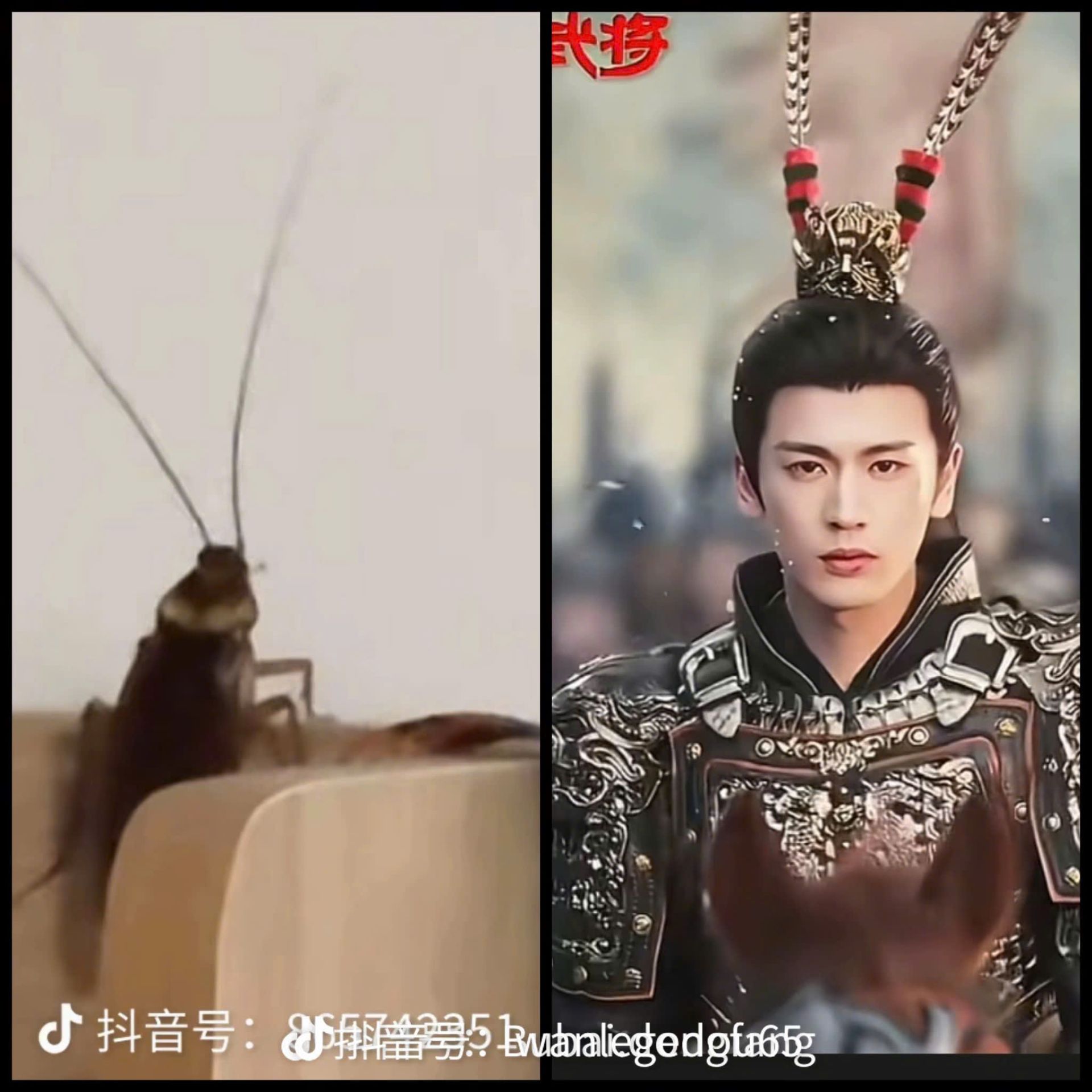 Tạo hình của Trương Lăng Hách được cư d&acirc;n mạng mang ra so sánh với... chú d&ecirc;́.