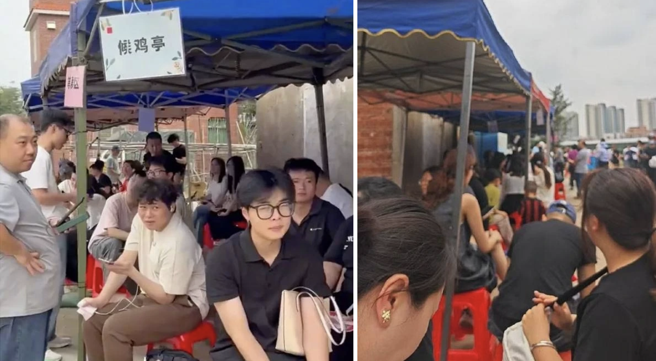 Kh&aacute;ch k&eacute;o đến qu&aacute;n g&agrave; ở Quảng Đ&ocirc;ng thưởng thức v&igrave; t&ograve; m&ograve;.