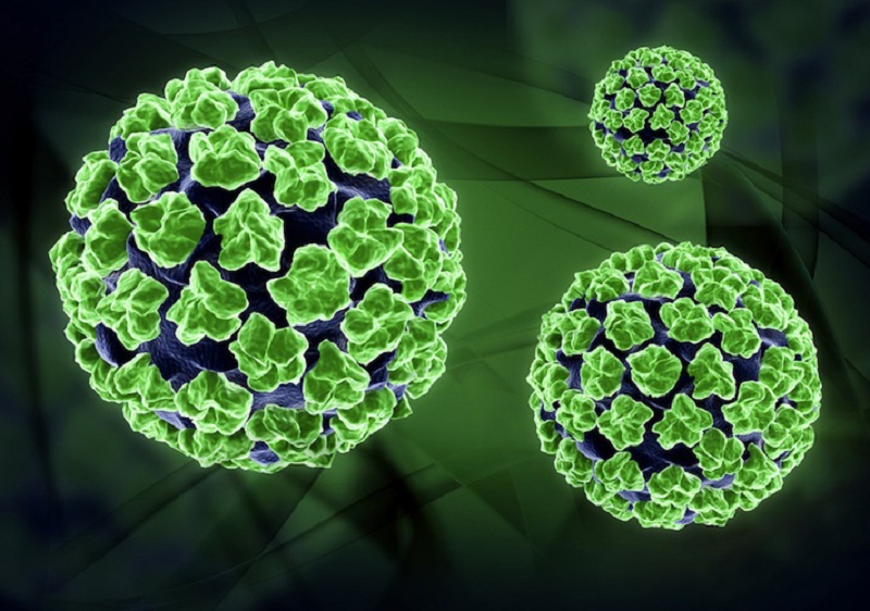 Bệnh tay ch&acirc;n miệng do vi-r&uacute;t g&acirc;y ra.