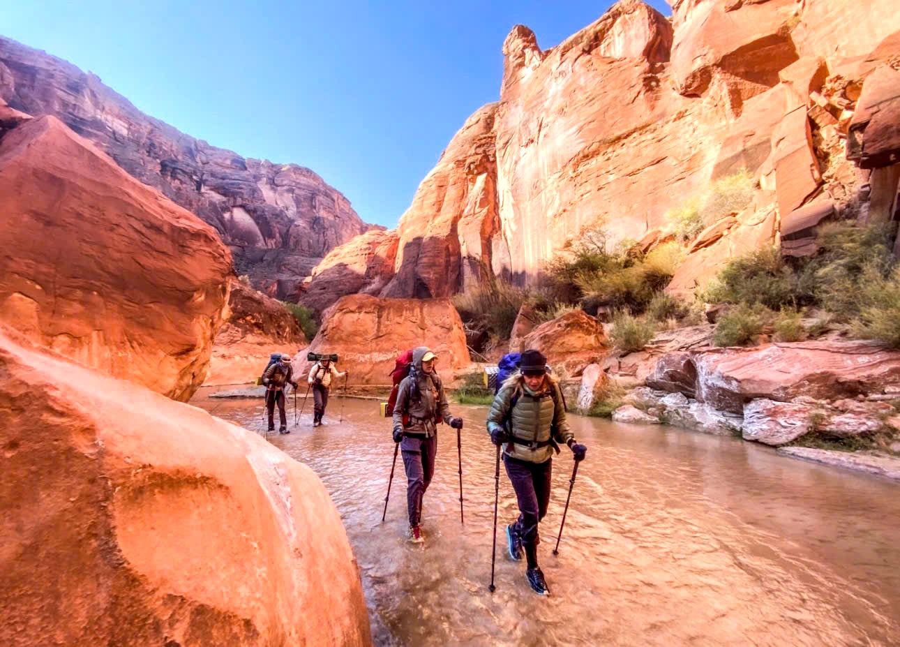 Đi bộ đường d&agrave;i (hiking) ng&agrave;y c&agrave;ng phổ biến.