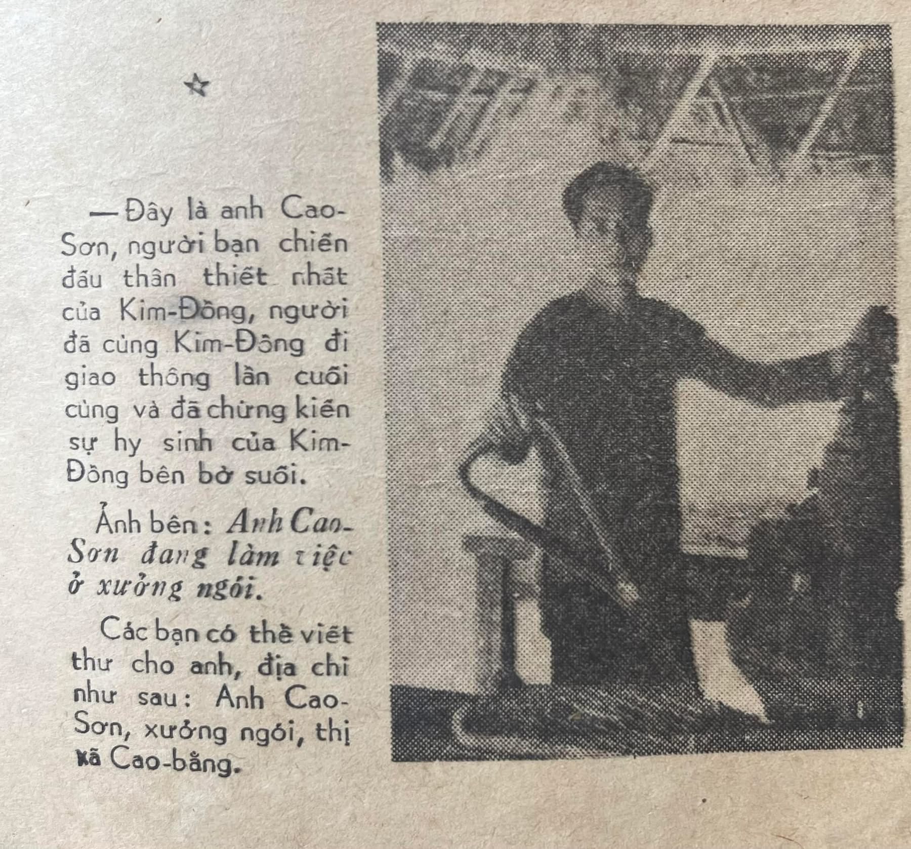 Ch&acirc;n dung anh Cao Sơn &ndash; một trong những đội vi&ecirc;n đầu ti&ecirc;n của Đội TNTP Hồ Ch&iacute; Minh &ndash; tr&ecirc;n B&aacute;o Thiếu Ni&ecirc;n Tiền Phong số đặc biệt kỷ niệm 20 năm th&agrave;nh lập Đội năm 1961.