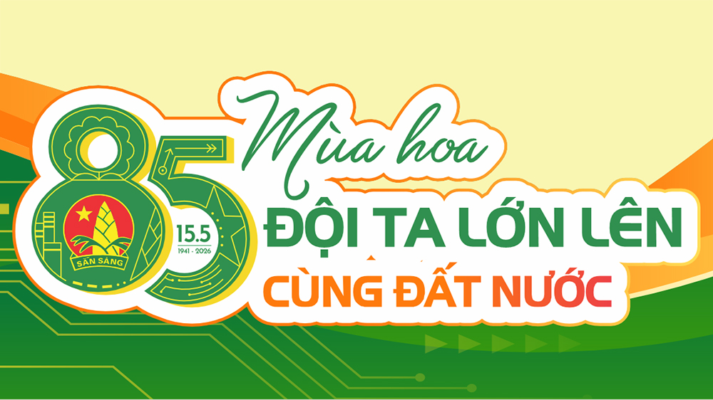 Hội đồng Đội Trung ương gửi thư chúc mừng Kỷ niệm 85 năm Ngày thành lập Đội TNTP Hồ Chí Minh