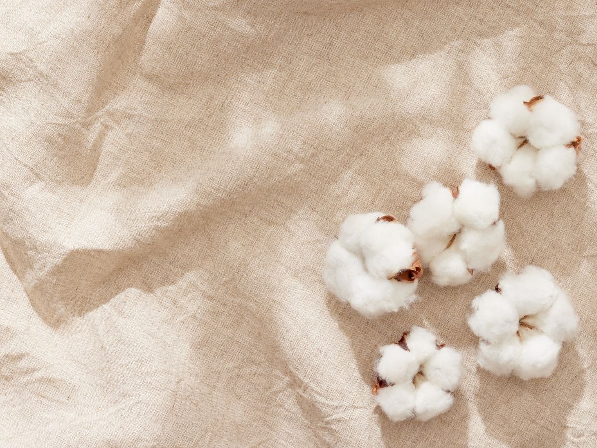 Vải cotton c&oacute; khả năng h&uacute;t ẩm tốt, gi&uacute;p tho&aacute;ng khi mặc.