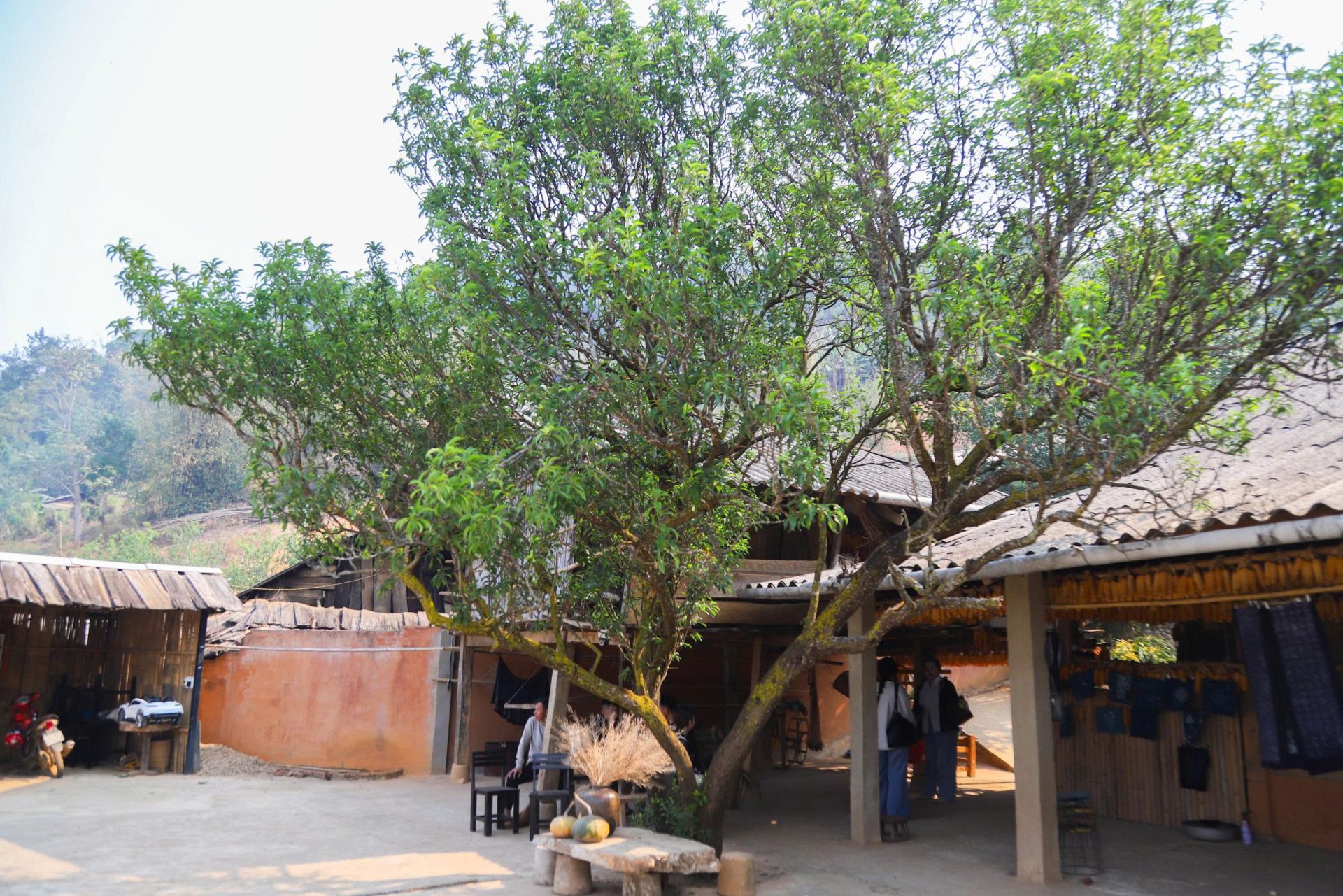 Ảnh to&agrave;n cảnh Nh&agrave; ng&ocirc; M&agrave;ng Mủ. (Ảnh: Phương Mai)
