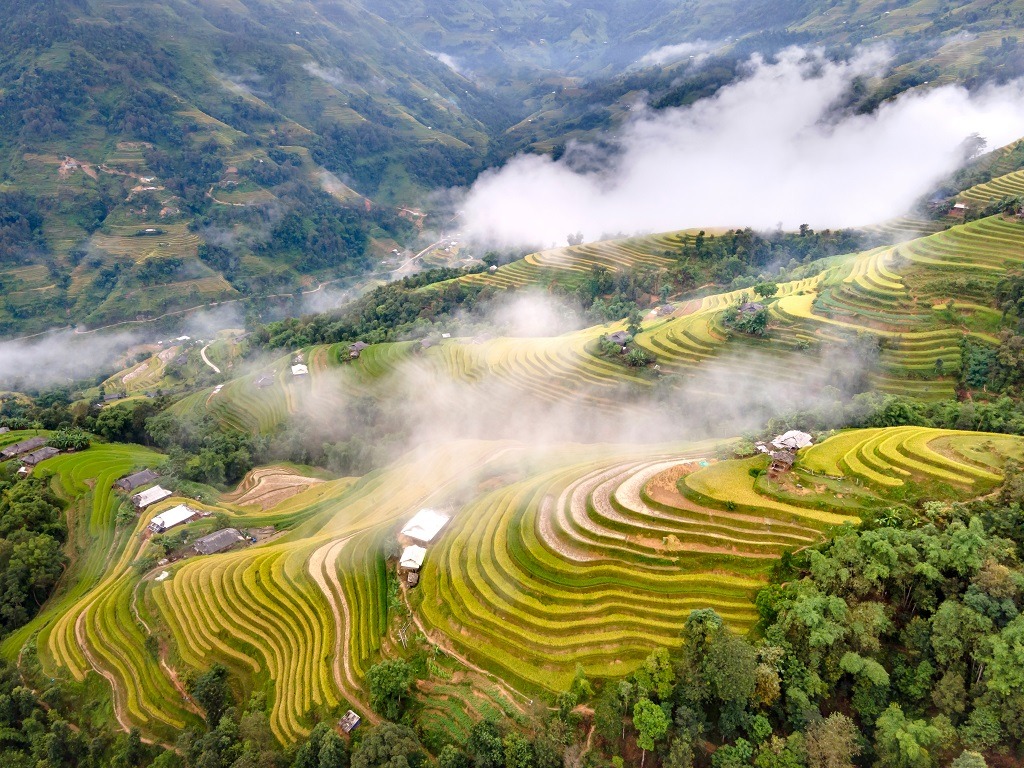 Ở Ho&agrave;ng Su Ph&igrave;, ruộng bậc thang gắn chặt với đời sống thường nhật của người d&acirc;n v&ugrave;ng cao. (Ảnh: Cục Du lịch Quốc gia Việt Nam)