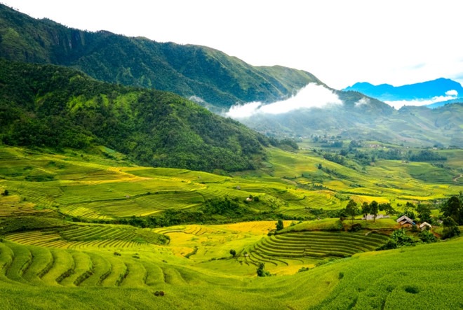 Y T&yacute; hấp dẫn du kh&aacute;ch bởi sự kết hợp giữa vẻ đẹp của biển m&acirc;y v&agrave; những thửa ruộng bậc thang.