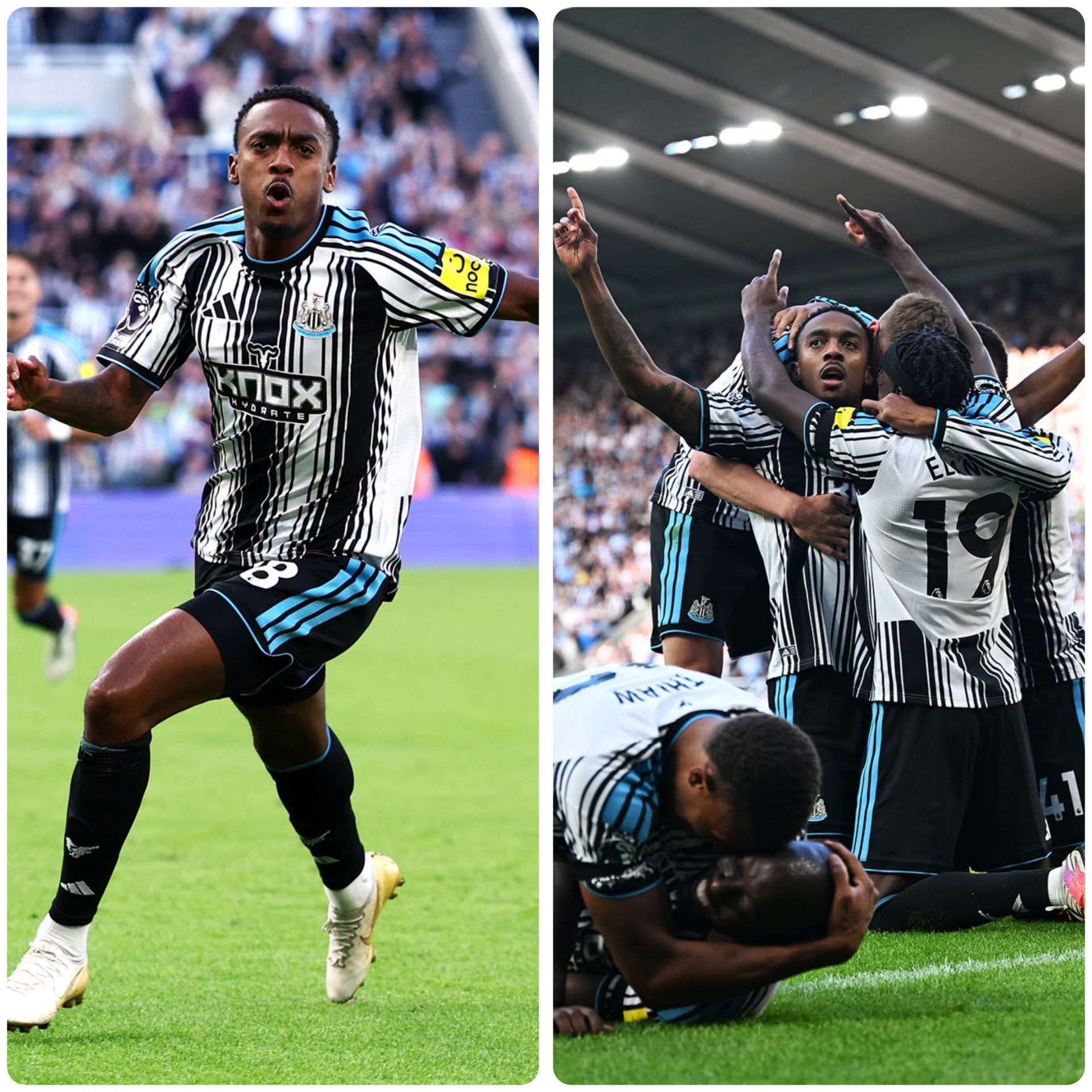 Joseph Willock cứa l&ograve;ng điệu nghệ n&acirc;ng tỉ số l&ecirc;n 2-1 cho Newcastle. 