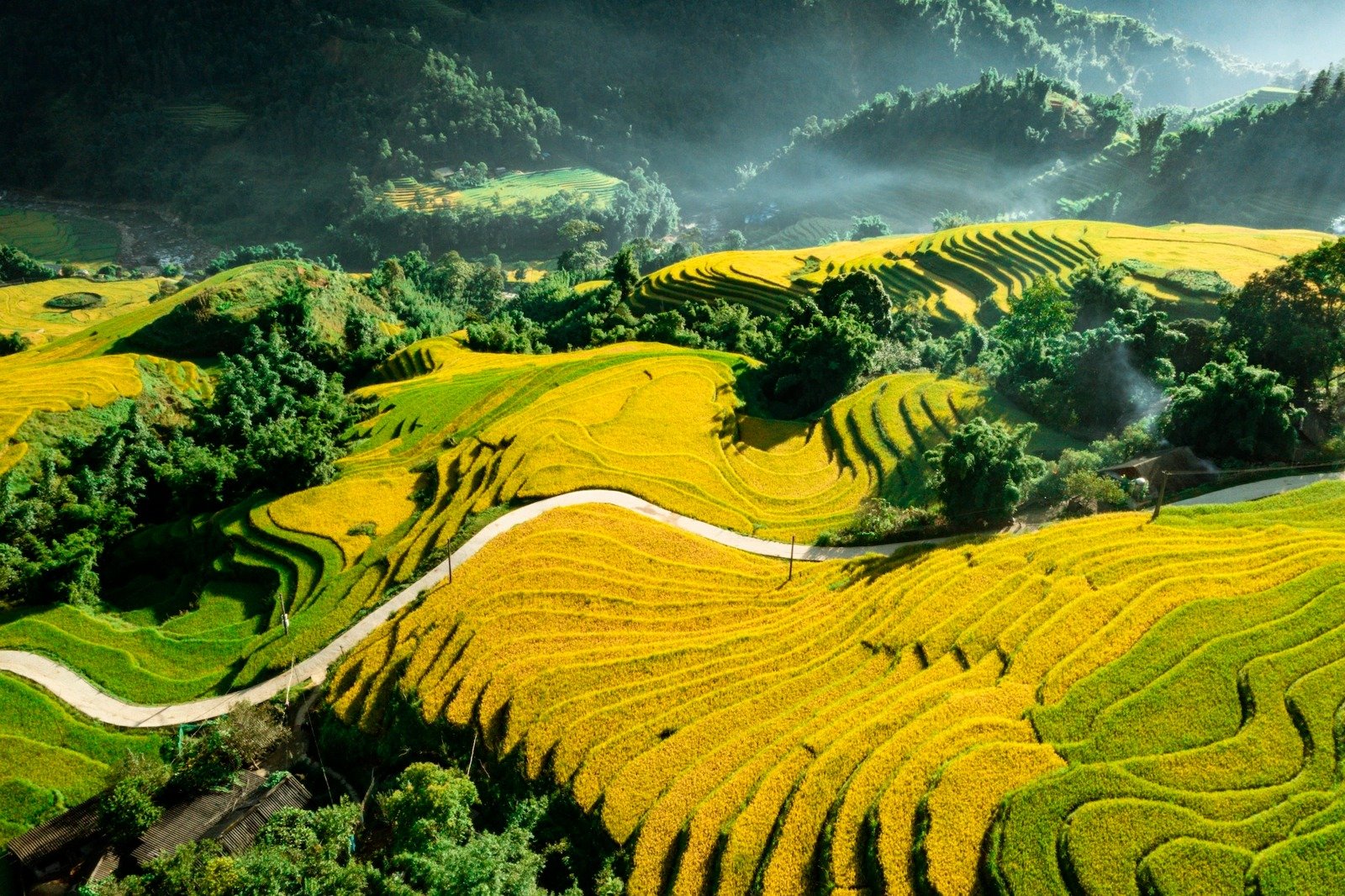 M&ugrave;a v&agrave;ng Sa Pa.